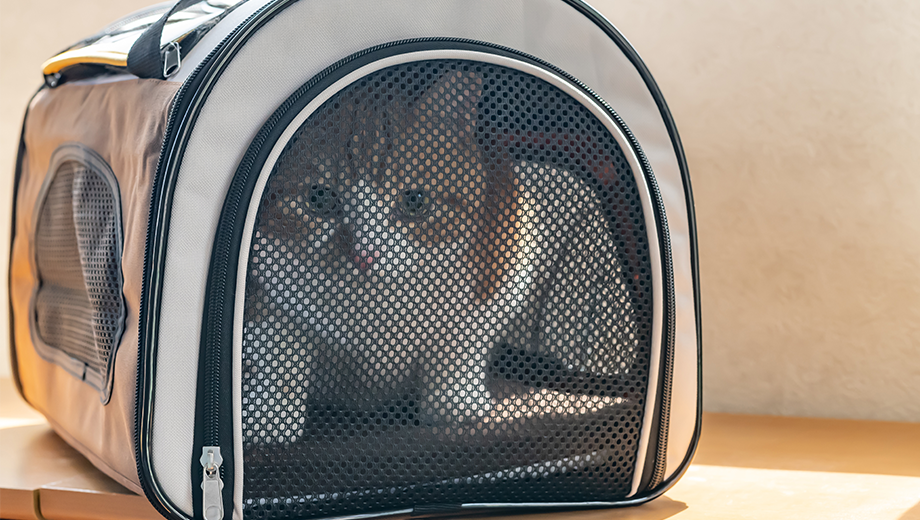 ネコ診療 キャリーバッグ