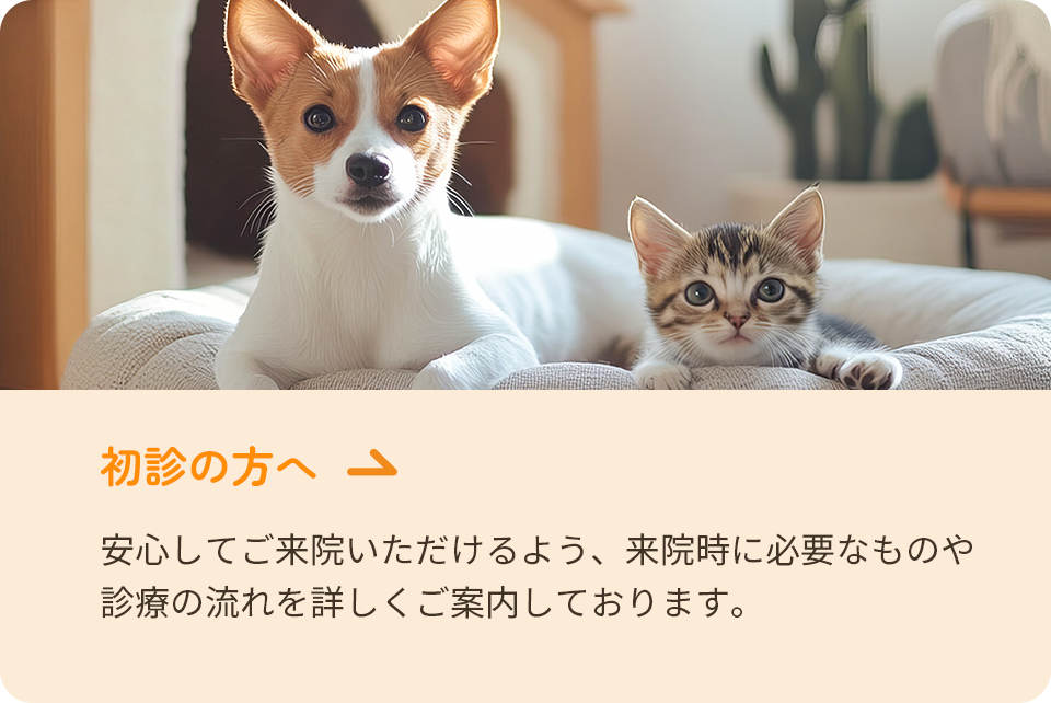 初診の方へ