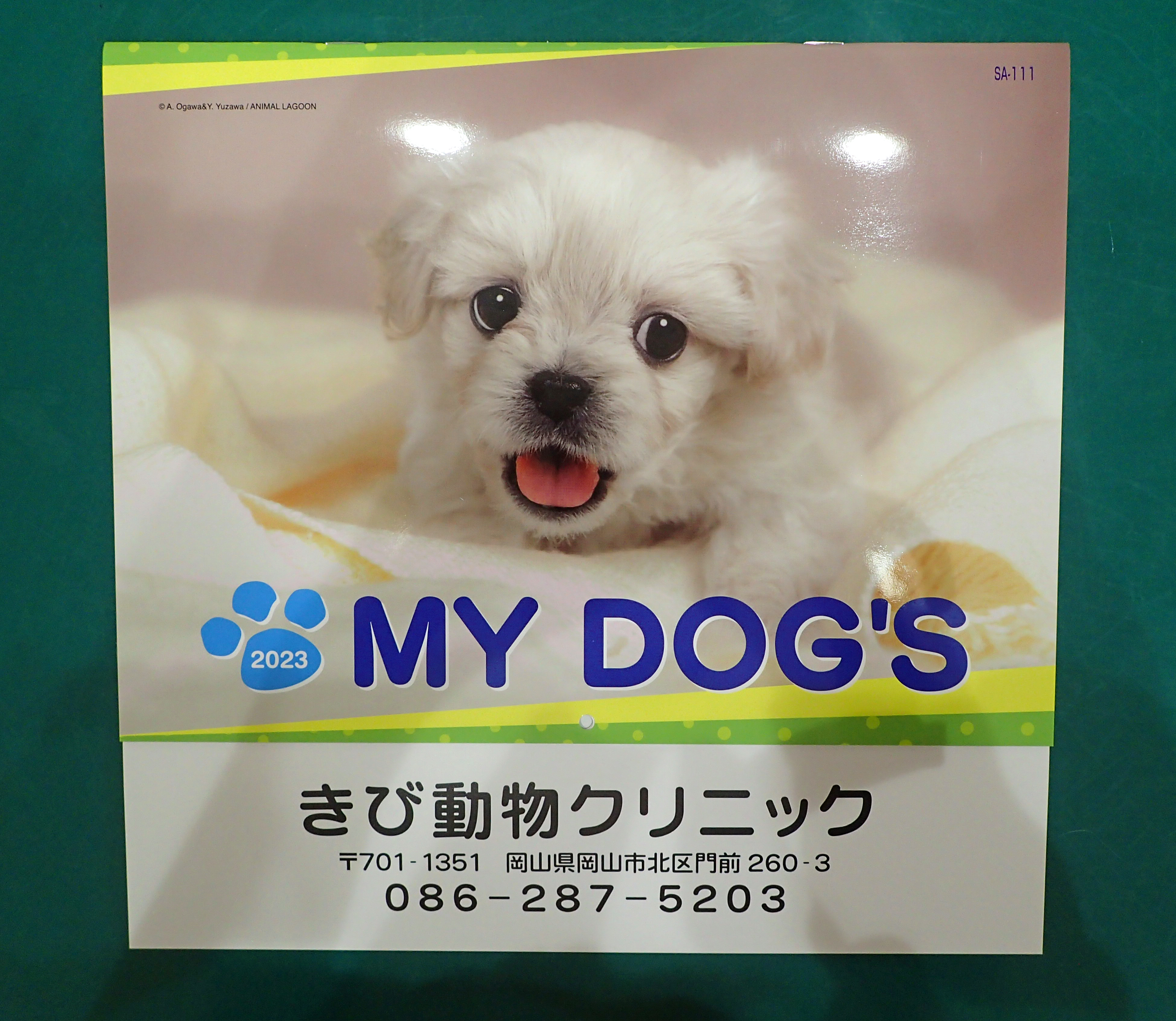 【美品】動物看護専門誌　2021年1月（5月抜け）～2022年12月　計23冊 動物看護専門誌 as(アズ)2020年5月号 (特集:犬と猫の臨床動物